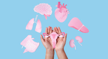 Health - University of Copenhagen launches major knowledge hub for women in menopause - KU University of Copenhagen launches major knowledge hub for women in menopause